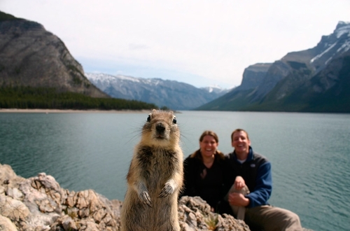 L\'écureuil se tape l\'incruste sur une photo de vacances