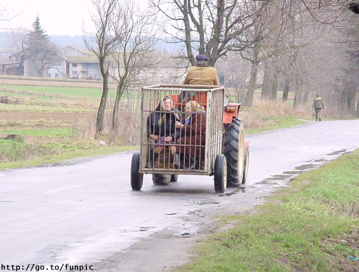 Transport en commun Roumain