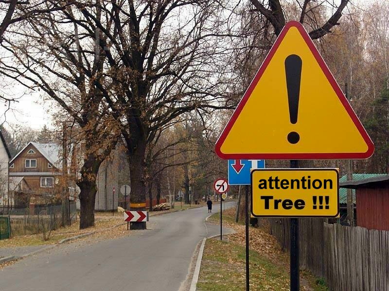 Attention : Arbre